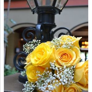 Meet your Posher, Elke